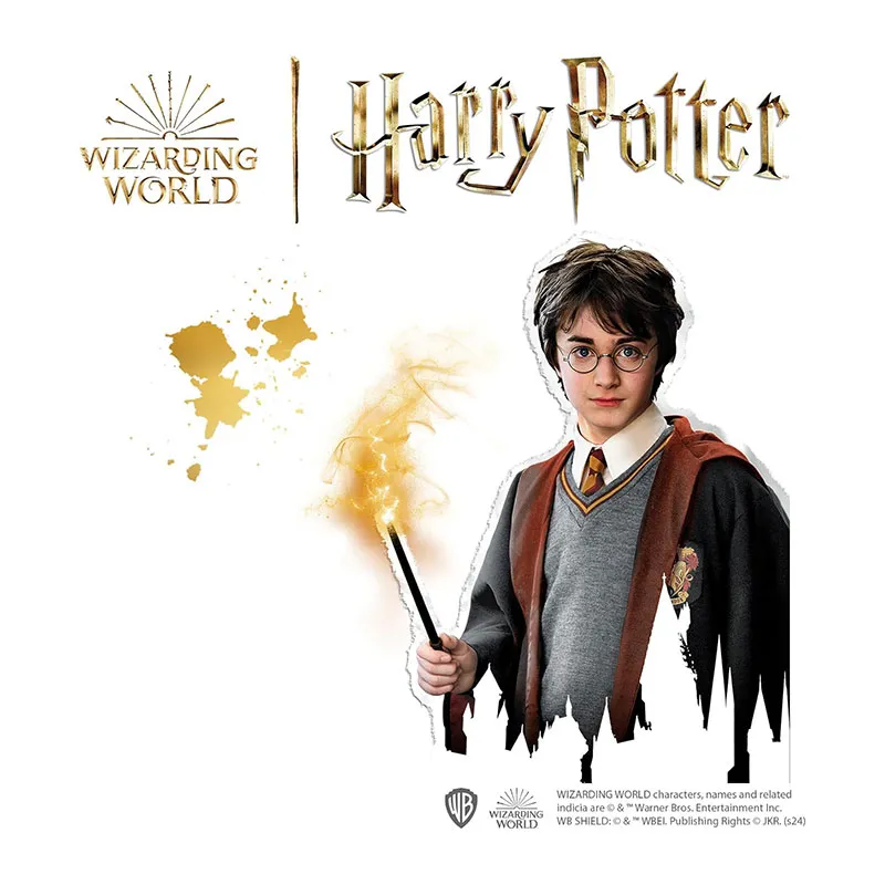 Moulage & peinture Harry Potter - 6+-3