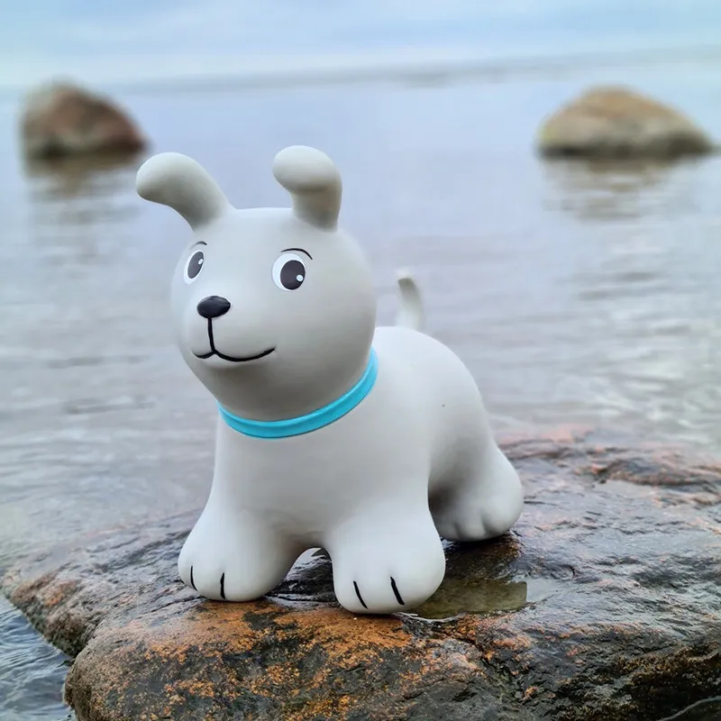 Chien sauteur Gris - 12m+-3