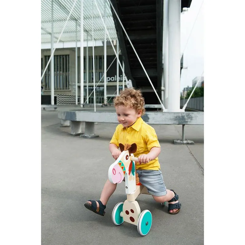 Porteur Poney Indien - 12m+-1