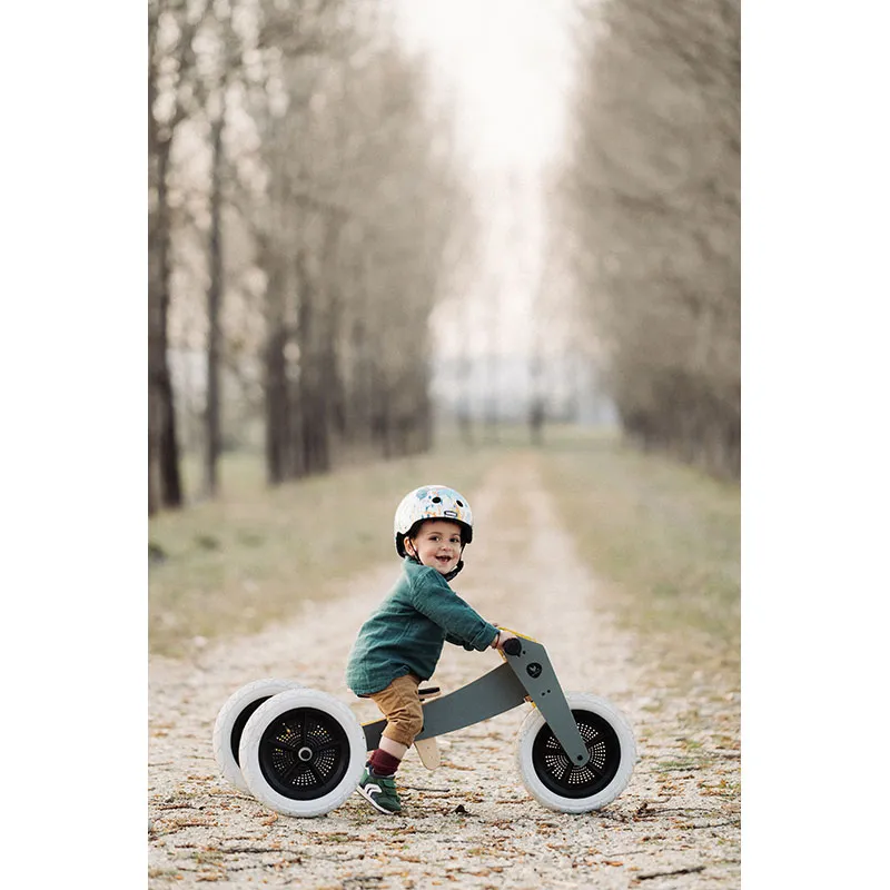 Tricycle 3en1 Original Pangolin - 12m+-7