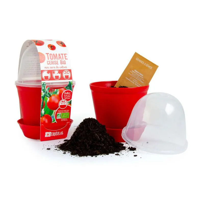 Pot-cloche - Tomate cerise BIO-2
