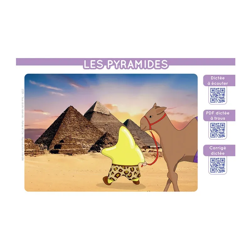 Chevalet de 100 fiches Champion de dictée - CE2/CM1/CM2-1