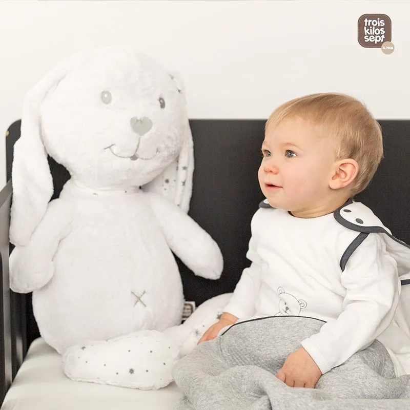 Grande peluche Lapin Martin et ses copains - 60cm-2