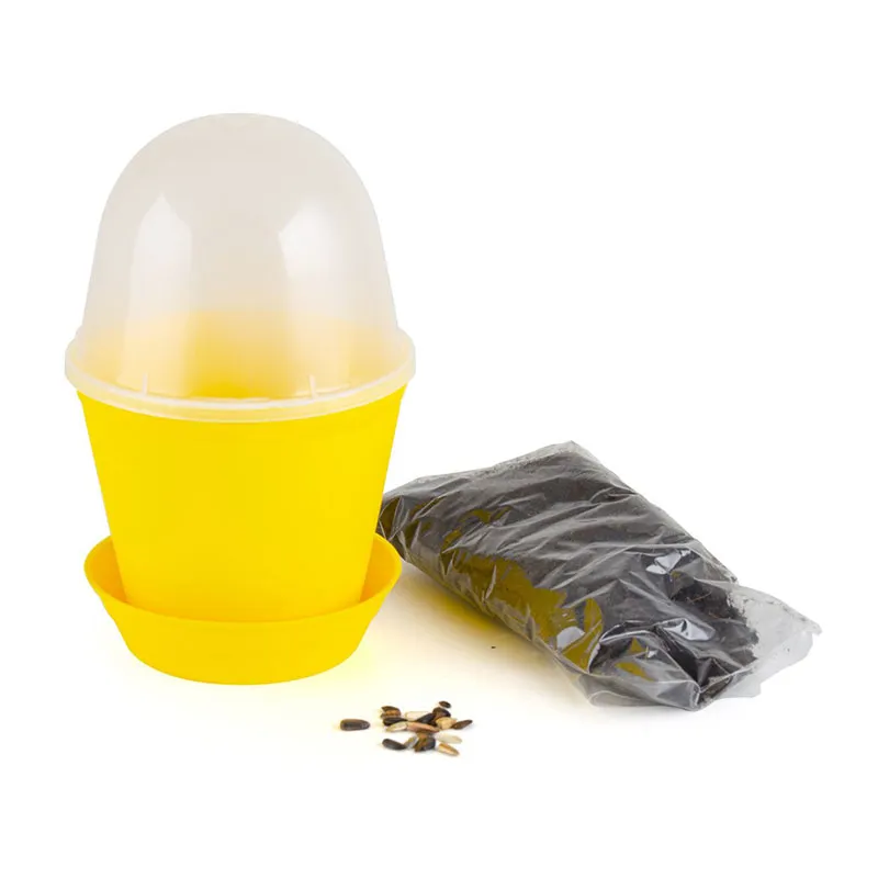 Pot cloche - Tournesol Bio-2