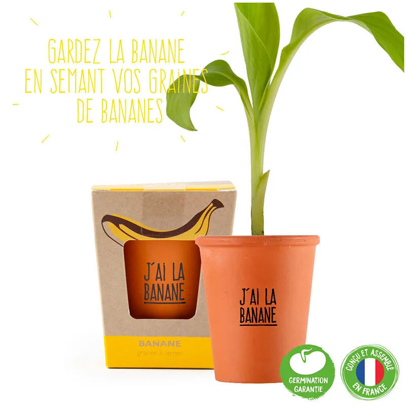 Kit message plante - Bananier J'ai la banane-2