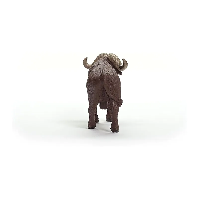 Buffle d’Afrique - Wild Life-4