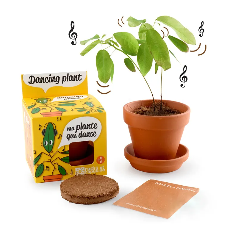 Pot de culture avec coupelle - Plante qui danse-0