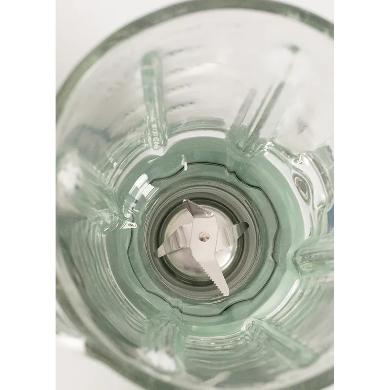Blender style Américain Sauge - 800W-2