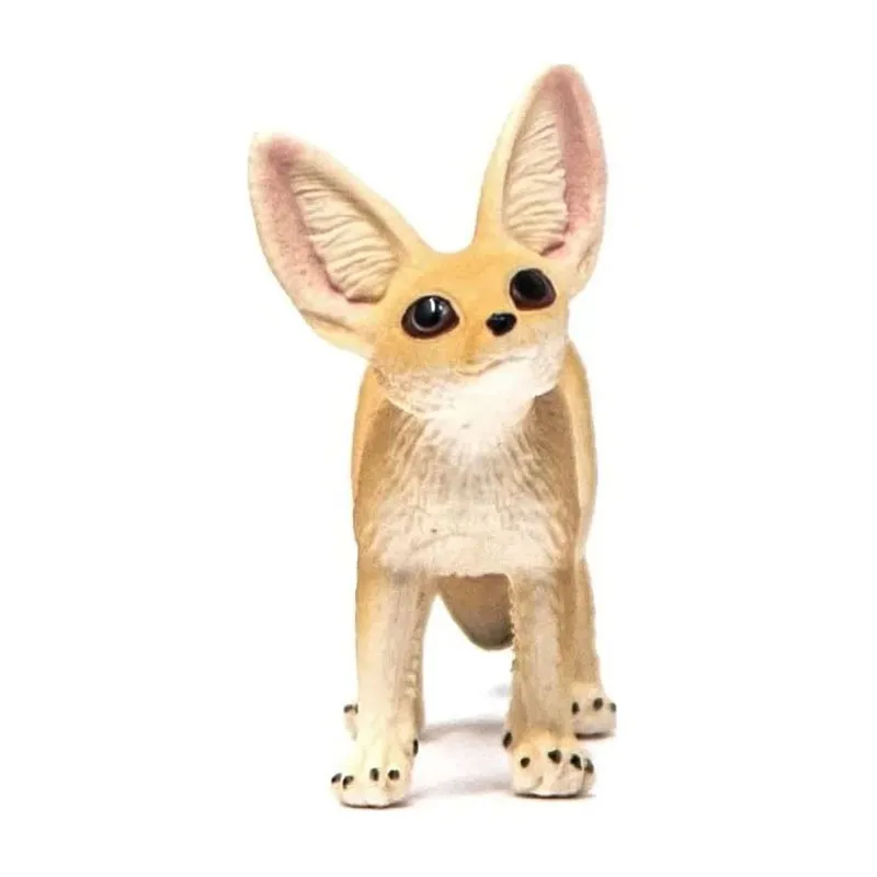 Fennec - Wild Life-1