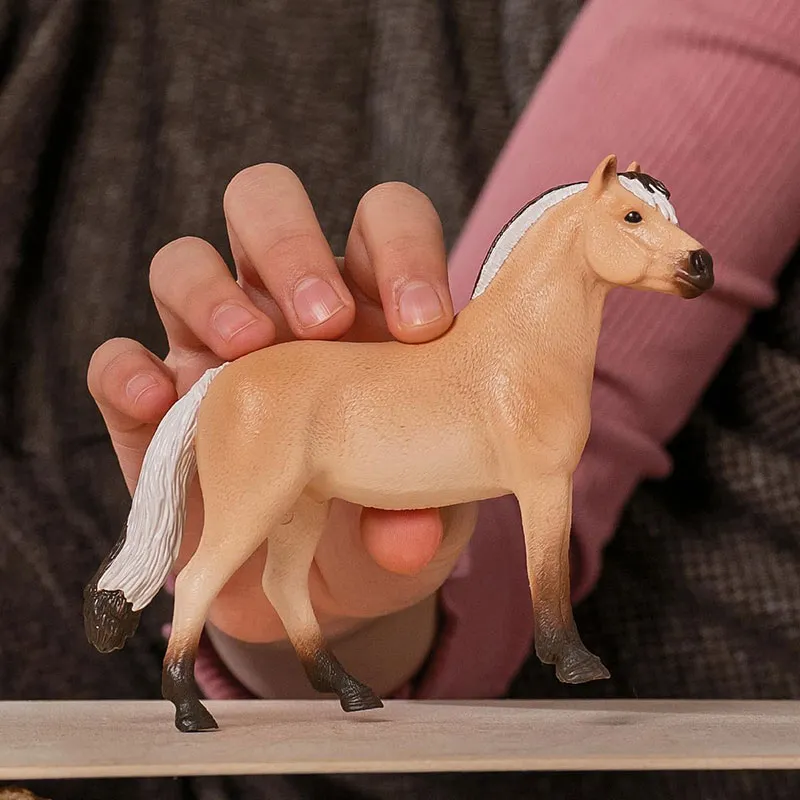 Hongre Fjord - Horse Club-1