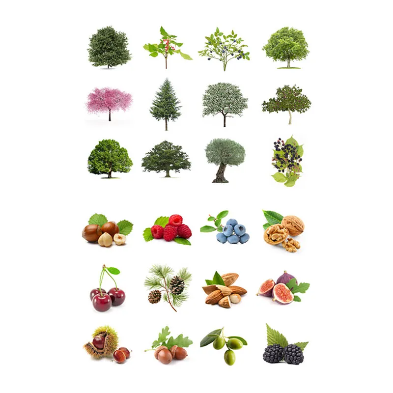 Rouleau de 360 gommettes Arbres et Fruits - 36m+-1