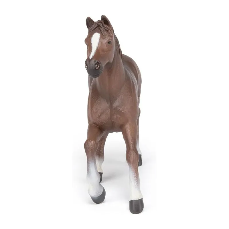 Jument anglo-arabe  - 16x12x3 cm-6
