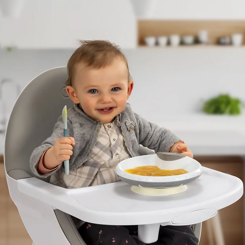 Assiette chauffante avec ventouse - 6m+-7