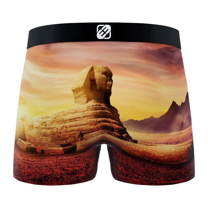 4 Boxers Garçon Landscape Freegun - Bleu-8
