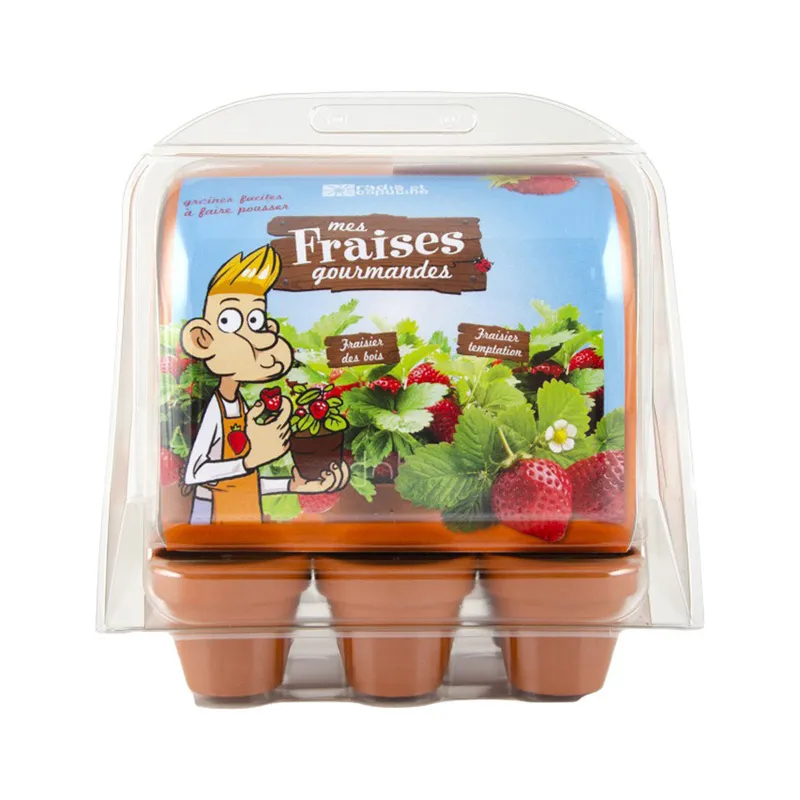 Mini serre + 6 pots - Fraisiers-0