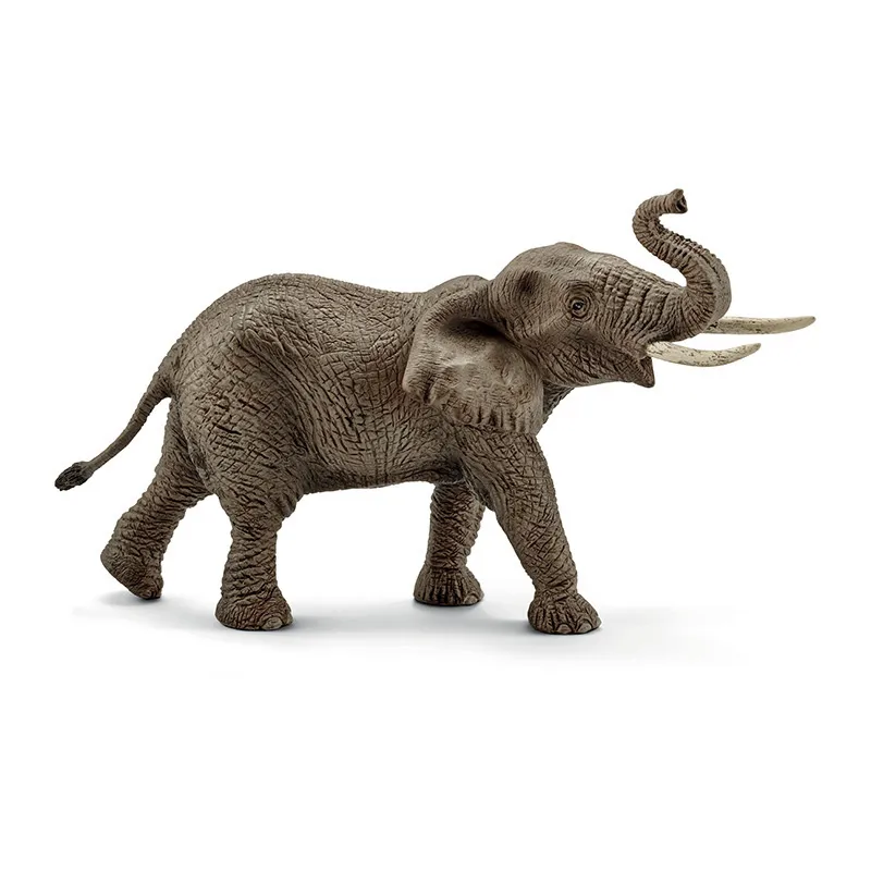 Éléphant d'Afrique mâle - Wild Life-0