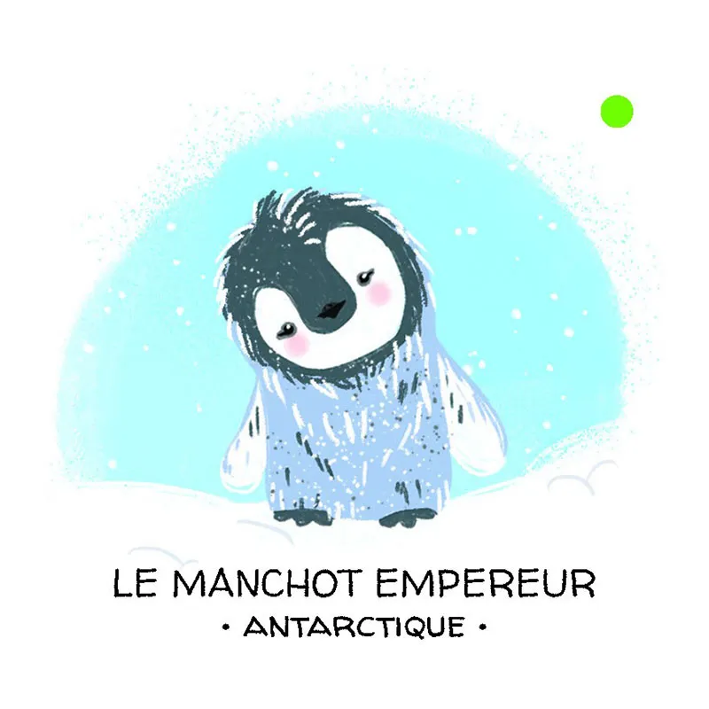 Mémo + livre Protégeons les animaux La banquise - 4+-7