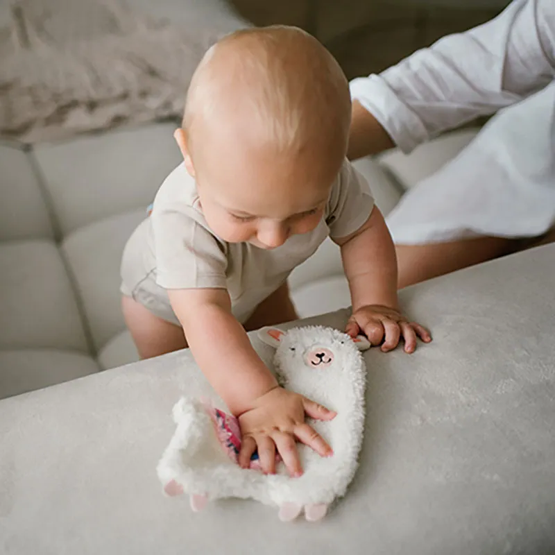 Peluche plate Lama Lulu Rose - 0m+-4