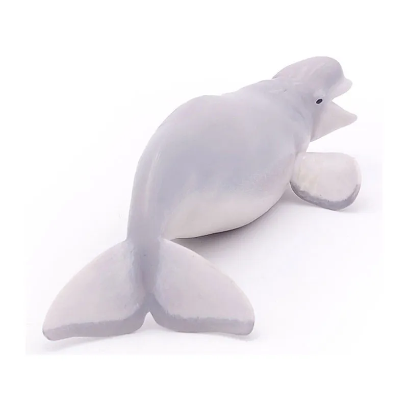 Béluga - 16x7,5cm-5