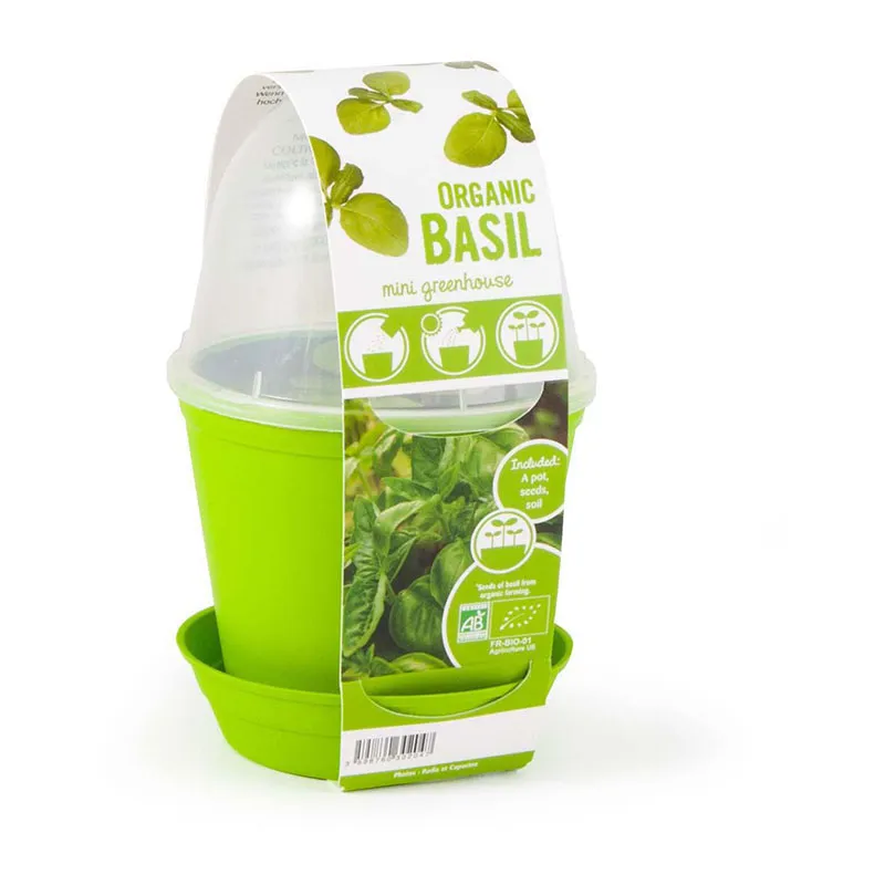 Pot-cloche - Basilic BIO-0
