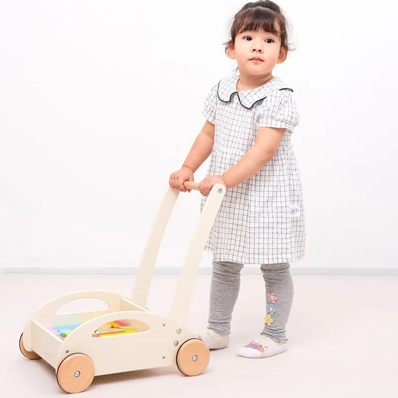 Chariot à pousser avec blocs 30pcs - 12m+-3