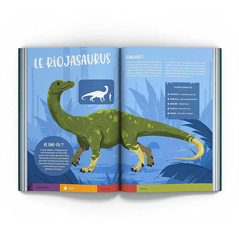 100 Grands dinosaures et autres reptiles - 6+-2