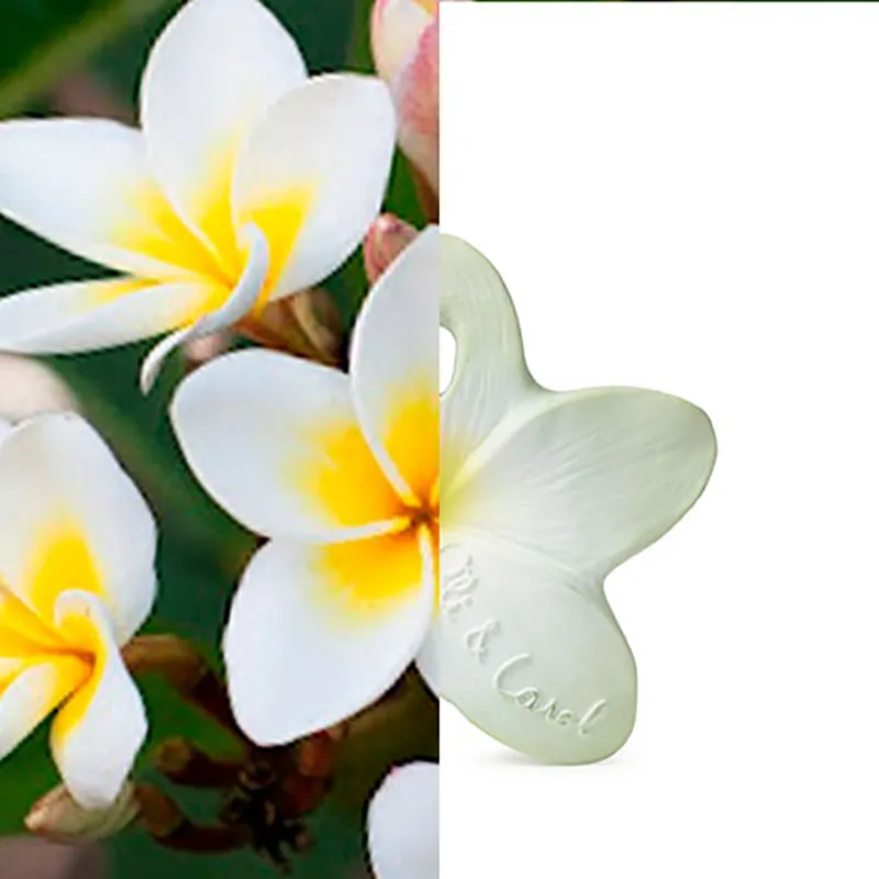 Mini anneau de dentition Caoutchouc Chewy Bali la fleur - 0m+-4