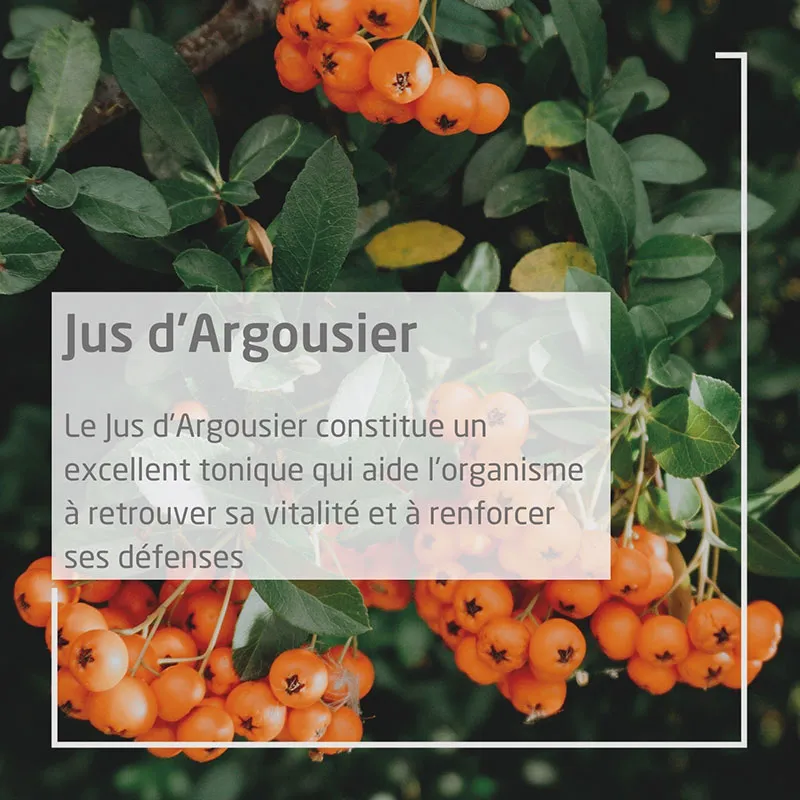 Jus d'Argousier BIO - 200ml-1