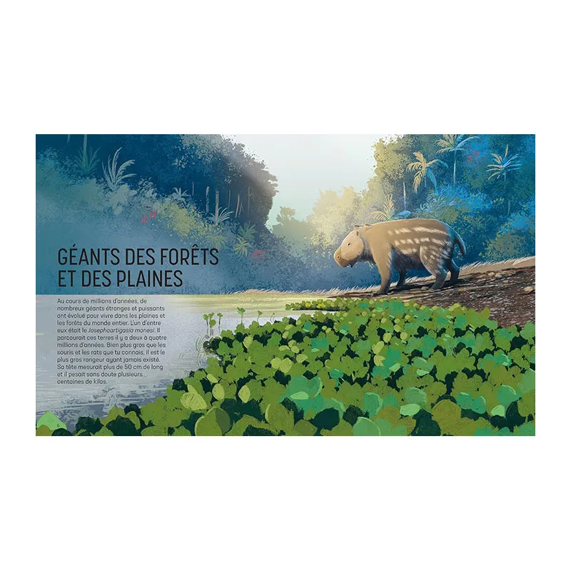 Au pays des géants  - 5+-2