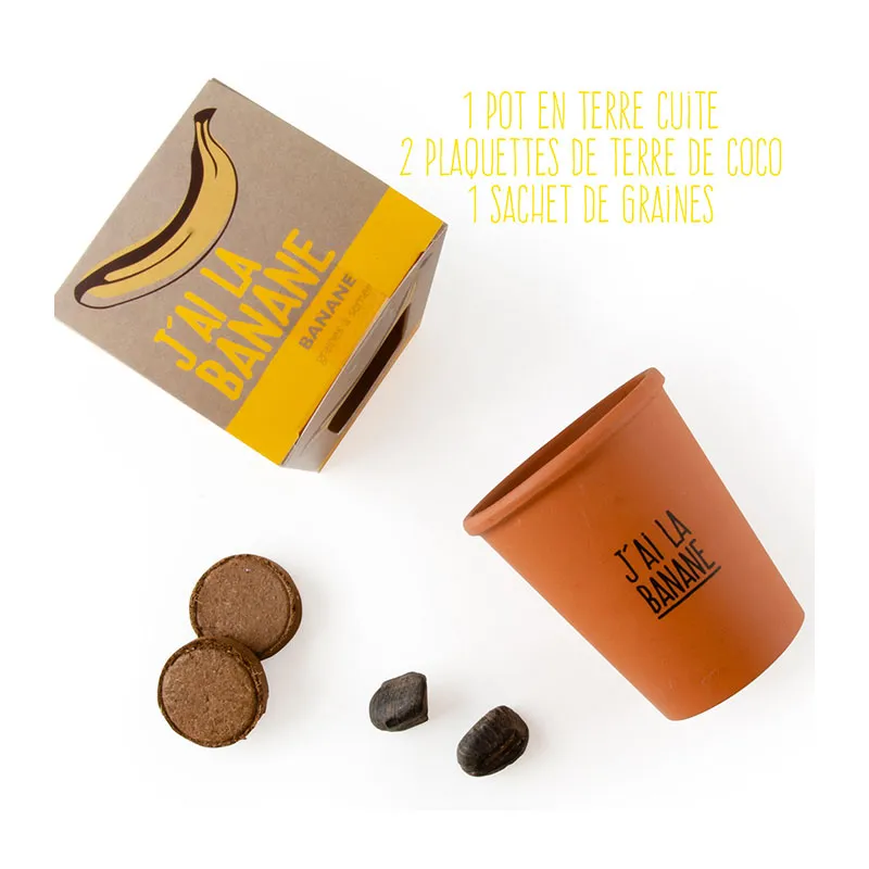 Kit message plante - Bananier J'ai la banane-3