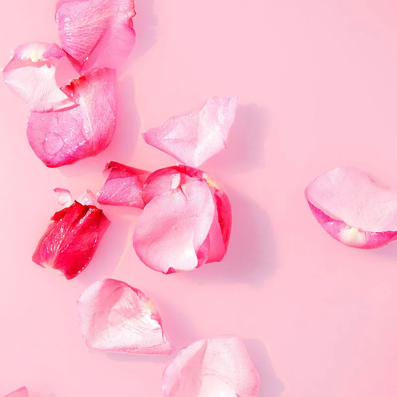 2 Laits micellaire démaquillants à l'eau de Rose BIO - 2x200ml - NIVEA-2