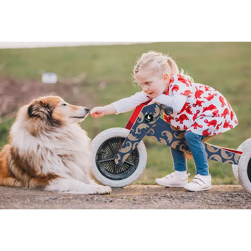 Tricycle 3en1 Original Bleu - 12m+-7