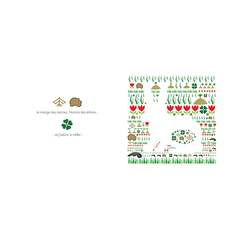 Devine les animaux - 3+-3