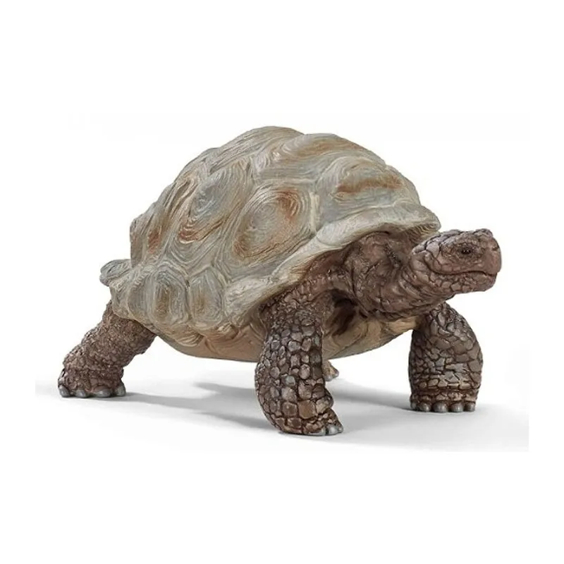 Tortue géante - Wild Life-1
