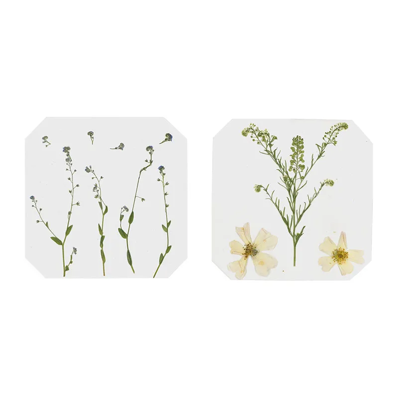 Kit Presse à fleurs bois 25pcs - 6+-1