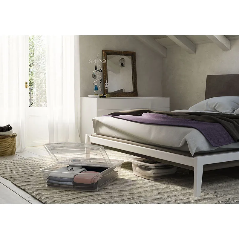 Boîte de rangement XL dessous de lit Transparent - 56L-2