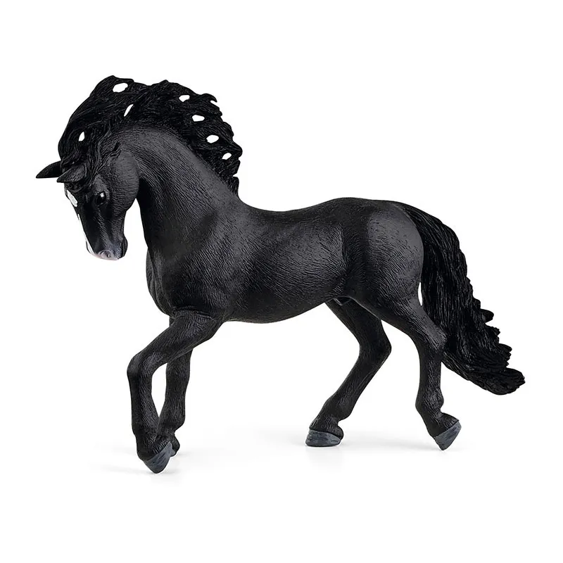 Étalon pure race espagnole - Horse Club-4