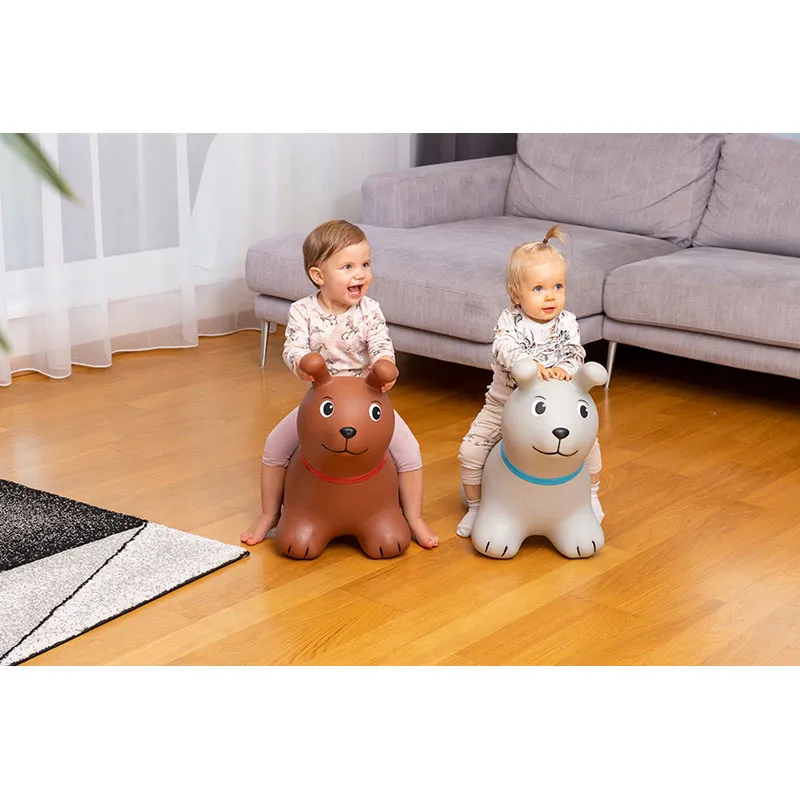 Chien sauteur Gris - 12m+-4