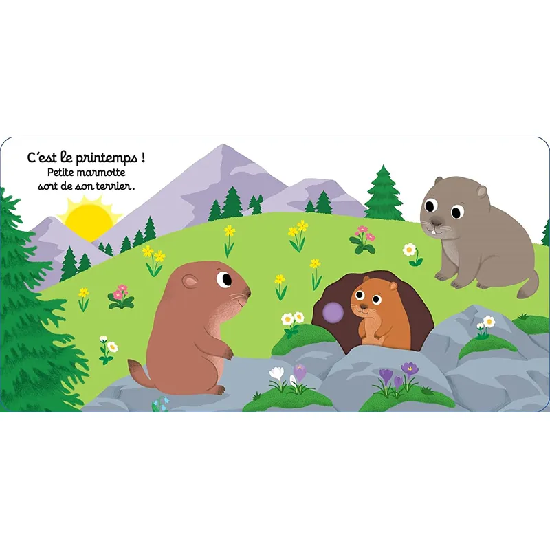 Bonne nuit, petite marmotte ! - 12m+-1