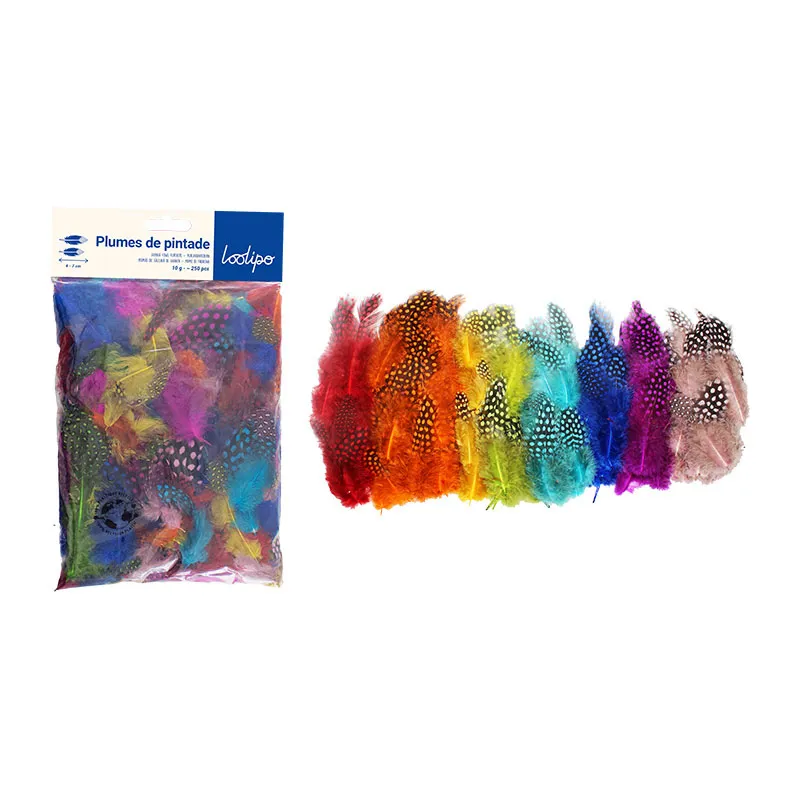 Plumes de pintade Arc-en-ciel 250pcs - 3+-0