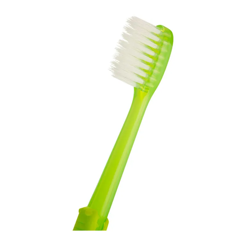 2 Brosses à dents Crocodile Vert - 12m+-2