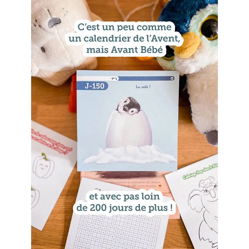 Calendrier de l'Avant Bébé - Futurs grands frères & sœurs -5