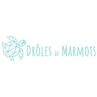 Drôle de Marmots