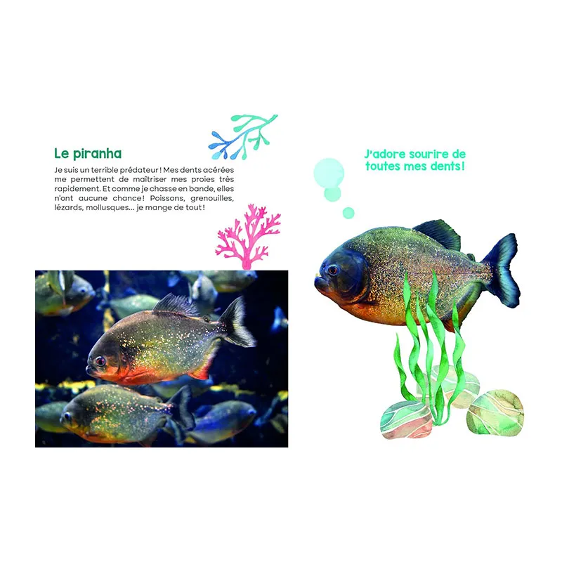 Mon coffret livre & jeu de mémoire des Animaux marins - 3+-3