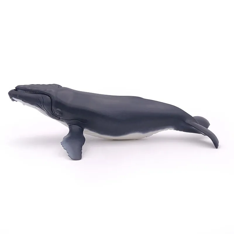 Baleine à bosse - 29x16,3cm-5