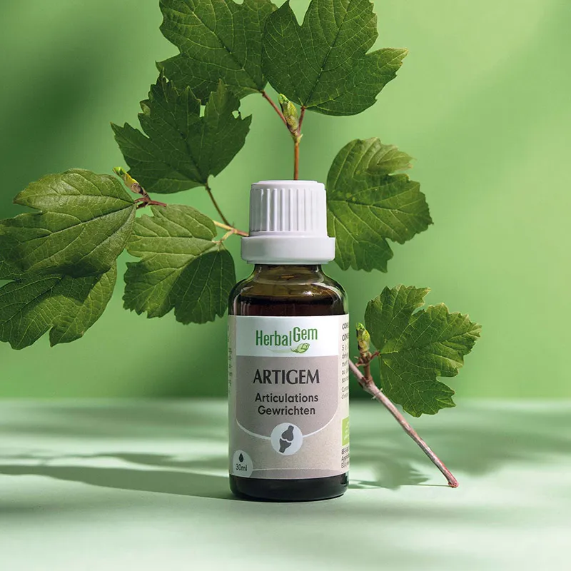 Artigem Articulations douloureuses BIO - 30ml-0