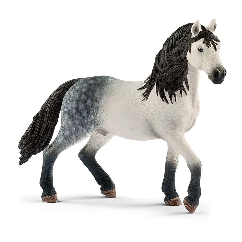 Étalon andalou - Horse Club-0