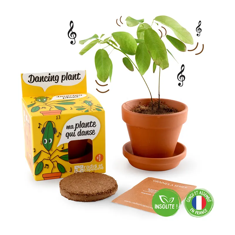 Pot de culture avec coupelle - Plante qui danse-5