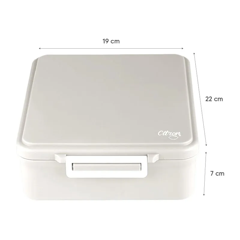 Grande Lunchbox Vert - 19x22x7cm-2