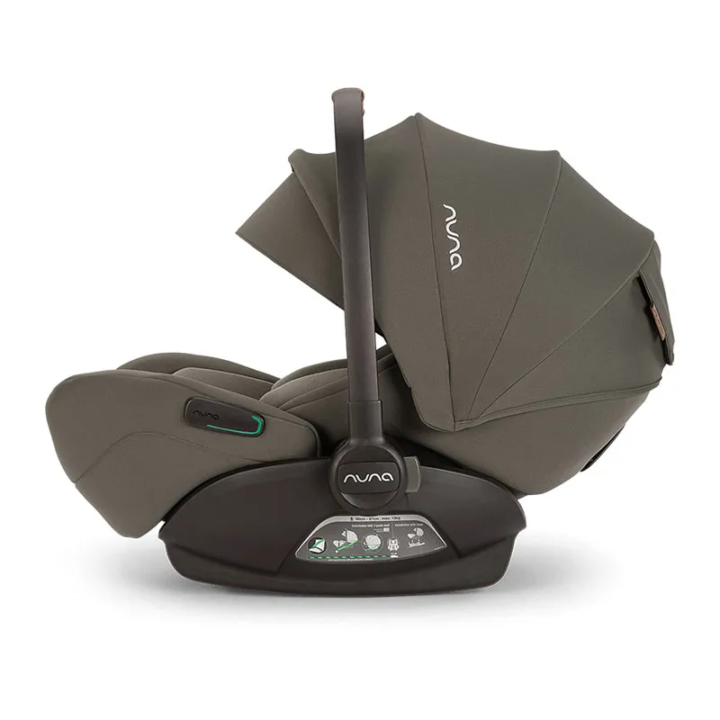 Siège-auto Arra Flex i-Size/Isofix 40-87cm - Pine-4